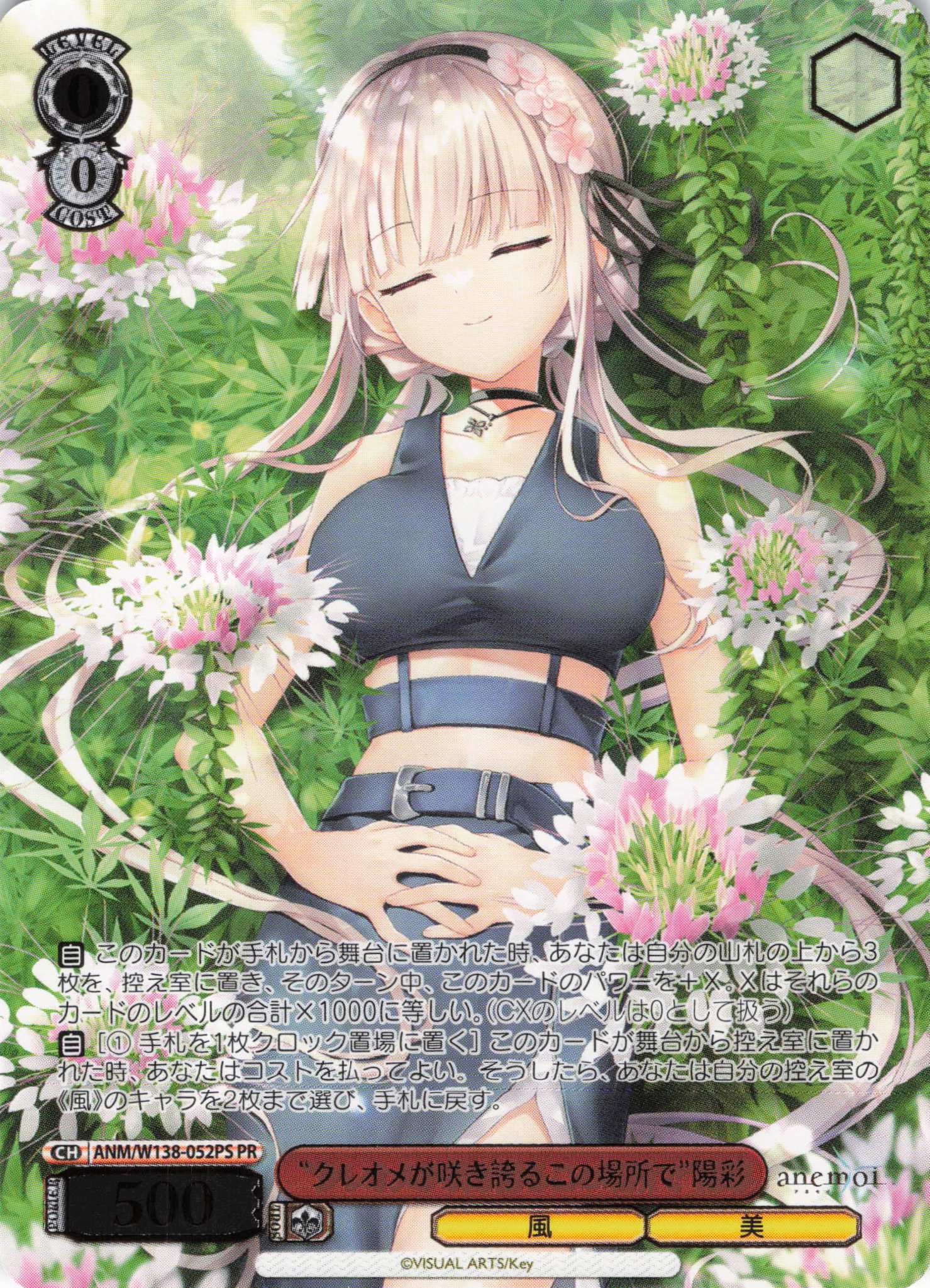 “クレオメが咲き誇るこの場所で”陽彩(PR)(ANM/W138-052PS)